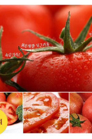 엑셀등록[샘플]맛있는 제철과일 기프트 박스